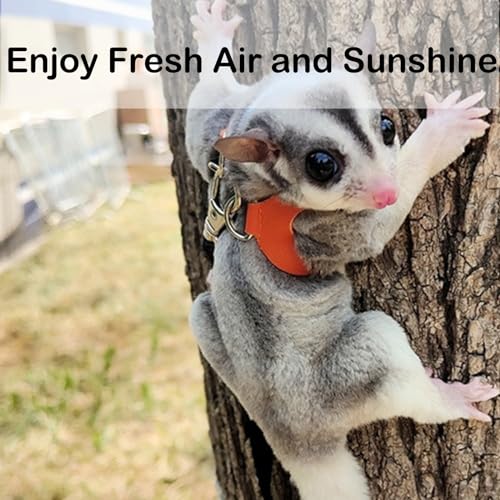 3 Pack Sugar Glider Harness and Leash Set Small Animal Training Walking Vest for Squirrel Hamster Rat-Green - color: Green