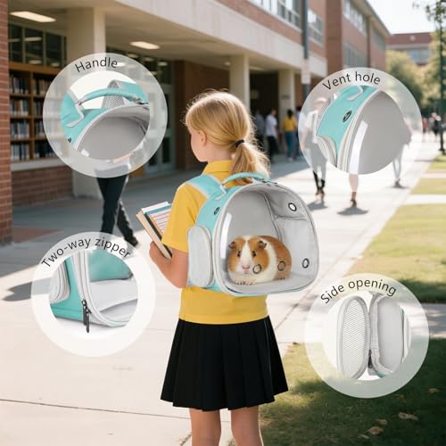 Guinea Pig Backpack, Space Capsule Bubble Window Small Animal Backpack for Guinea Pig, Bird Bunny Rat - color: Green