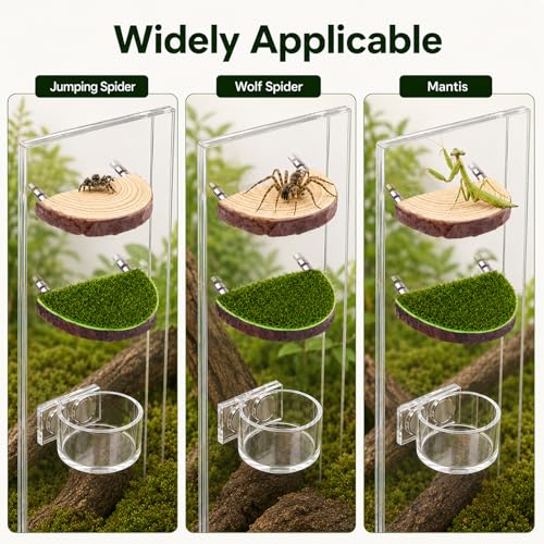 2 in 1 Jumping Spider Enclosure Accessories - Magnetic Feeding Dish with Jumping Wood Ledges | Acrylic Water Bowl Food Dish Habitat Decor for Tarantula Small Spider Reptile