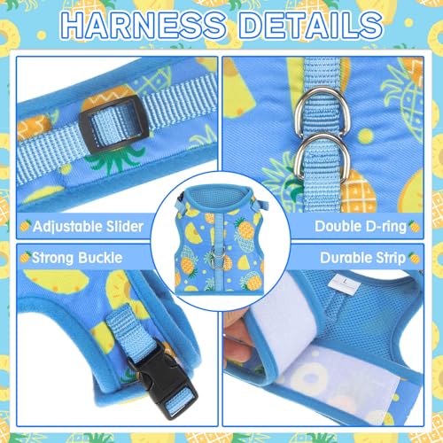 PUPTECK Soft Mesh Cat Vest Harness and Leash Set Puppy Padded Pet Harnesses Escape Proof for Cats Small Dogs Rabbits Bunny - color: Blue(Pineapple), size: M(NECK 7", CHEST 10.5", 4-6 lbs)