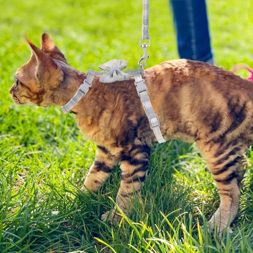 TIESOME Cat Harness and Leash Set, Adjustable Gradient Kitten Harness | Escape Proof Harness with Leash for Kitty Outdoor Walking - color: Bow Tie