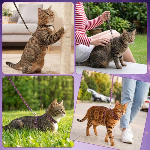 2 Pack Cat Harness and Leash, Escape Proof Adjustable Kitten Harness | Lightweight Soft and Comfortable for Cat Safe Walking and Travel, Multicolor - color: Black Purple