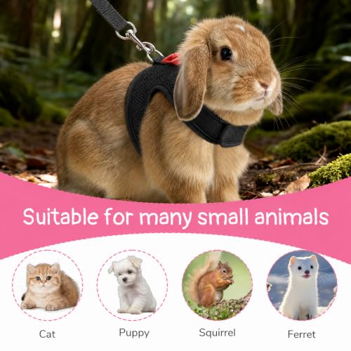 Bunny Harness and Leash Set Cute Bow Rabbit Leash Harness Set Escape Proof | Rabbit Vest Soft Breathable Mesh Walking Gear for Rabbits, Kittens, Ferrets, Guinea Pigs, Black, M