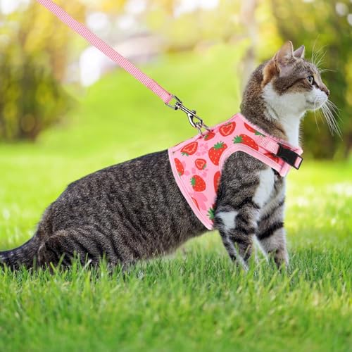 PUPTECK Soft Mesh Cat Vest Harness and Leash Set Puppy Padded Pet Harnesses Escape Proof for Cats Small Dogs Rabbits Bunny - color: Light Pink(Strawberry), size: S(NECK 6", CHEST 8.5", 2-4 lbs)