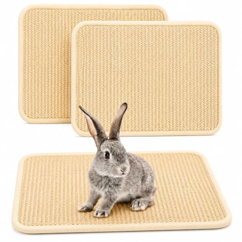 FHTONGE 2 Pcs Sisal Rabbit Scratching Mats for Cage Bedding Summer Cooling | Non-Slip Base Scratcher, for Claws Sharpening Teeth Grinding Sleeping Cooling Chewing Biting, Bunny Scratch Pads Grass Mats - size: 15.8 x 11.8 in (Pack of 2)