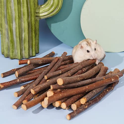 400g Apple Sticks for Rabbits,Chew Sticks for Chinchilla Hamster | Natural Chew Toys and Treats For Rabbits Chinchilla Guinea Pig Hamster Gerbil Bunny - style: Thick-14oz