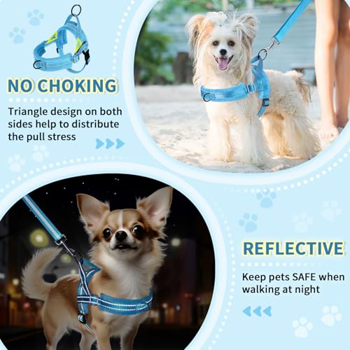 Lukovee Small Dog Harness and Leash Set, No Pull Soft Padded Vest | Both Neck & Chest Adjustable, Reflective, Puppy Harness with 4ft Lightweight Anti-Twist Dog Leash for Small Dogs (LBL, XXS) - color: Light Blue, size: XXS ( Chest 11.5'' ~ 15'')