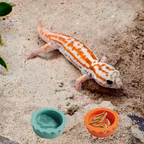 9pcs Crested Gecko Tank Accessories:Food Dish& Feeding Cups - Gecko Feeder &Corner Water Bowl for Reptile Tanks