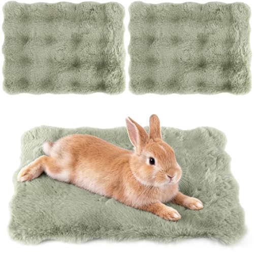 2 Pack Rabbit Mat, Soft Plush Bunny Bedding with Non-Slip Bottom, Washable Fluffy Guinea Pig Cage Liner, Small Pet Sleeping Pads for Hamster, Chinchilla, Green - color: Green