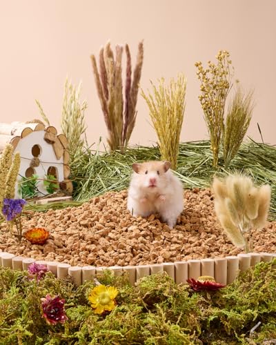 BUCATSTATE Natural Hamster Bedding Flowers & Herbs & Sprays | For Cage Habitat Decor - Treat Cereal Grain for Dwarf Syrian Gerbils, Mice, Rat, Forage, Enrichment (54PCS) - size: 54PCS