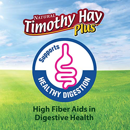 Kaytee Timothy Hay Plus Carrots for Pet Guinea Pigs, Rabbits & Other Small Animals, 24 oz - size: 1.5 Pound (Pack of 1)