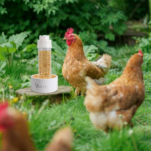 Kalekey 2 Pack Transparent PVC Chicken Feeder, Oyster Shell and Grit Feeder Hanging Ground Chicken Coop Feeder with Hanging Hook for Hens & Chicks (White) - color: White