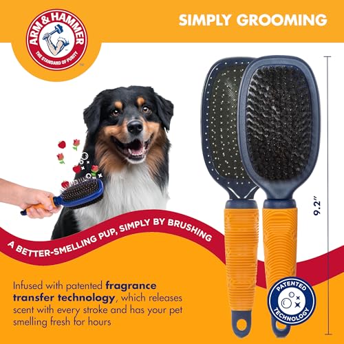 Arm & Hammer Deodorizing Pin & Bristle Dog Brush, Apple & Rose Scent | Fragrance transfer technology, baking soda infused, detangling and deshedding, for long-haired dogs daily - size: 1-Pack, style: Pin/Bristle Duo Brush - Sweet Apple & Rose