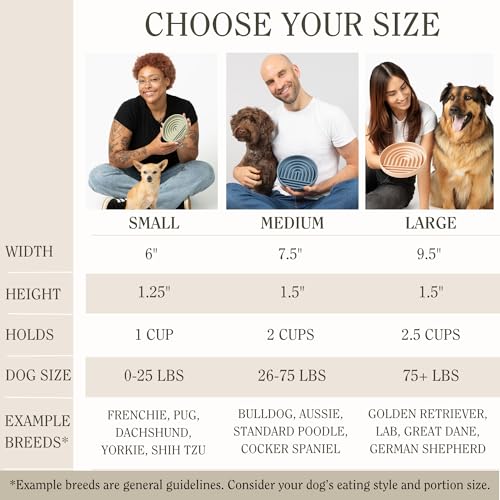 Slow Feeder for Dogs & Puppies, The Slowdown Bowl Silicone Slow Eating, Modern Lick Mat Design, Reduces Gulping, Fits 2 Cups, 7.5” Across x 1.5” Tall, Mealtime Challenge, Medium-Sage - color: Sage - Rainbow Design, size: Medium (7.5” Across x 1.5” Tall)