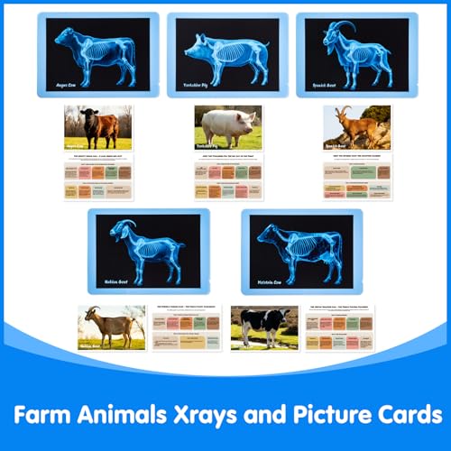 10 Pcs Farm Animal Xrays - Light Table Accessories | Vet Role Play & Preschool Learning Farm Animal X-Ray Set - style: Farm Series