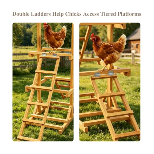 Outdoor Wooden Chicken Roost Perch Multi-Tier Activity Stand | Let Chickens Run, Play & Stay Healthy, Ideal for Backyard Coops & Farms, Fits 8-12 Chickens - color: C02 Brown with Black