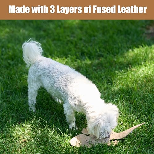 SPOT Skinneeez Leather Lizard – 15" Stuffing-Free Dog Toy with Real Leather & 2 Squeakers, Chew & Toss Toy for Small & Medium Dogs, Best for Light to Moderate Chewers - size: 15 Inch
