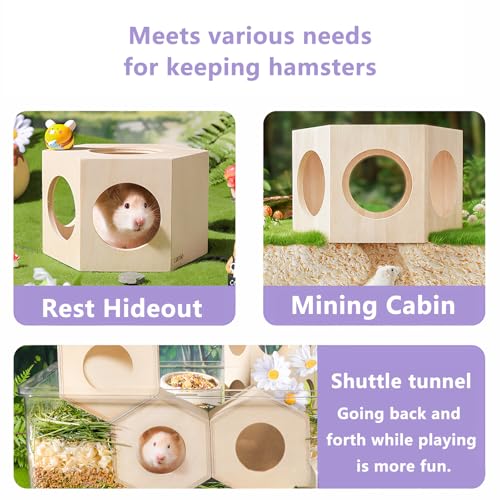 Dwarf Hamster Hideout – Versatile Wooden House for Small Animals, Gecko, Lizard & Rat Hideout, Smoothly Polished, Ideal for Bedroom or Granary