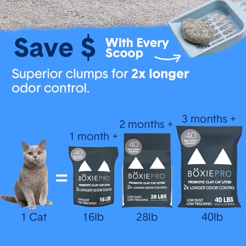 Boxie® Probiotic 40 Day Natural Odor Control Cat Litter, 16lb Clumping Clay Kitty Litter (Pack of 2) - size: 16 Lb (Pack of 2)