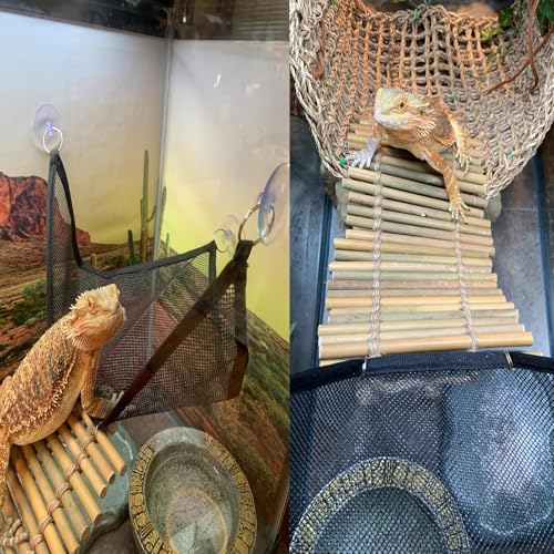 kathson Reptile Bridge for Terrarium,Bearded Dragon Wooden Bridges Gecko Hammock with Hanging Plants Lizard Lounger Bamboo Ladder Reptiles Tank Accessories Climbing for Chameleons Geckos Snakes (3Pcs) - size: Large