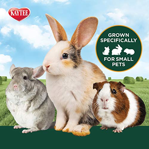 Kaytee Orchard Grass, 24-Ounce - size: 1.5 Pound (Pack of 1)