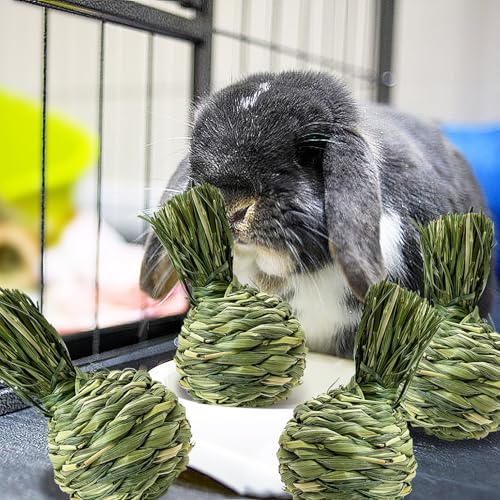 Hamiledyi Rabbit Chew Ball Bunny Timothy Grass Ball Natural Woven Chewing Toys Small Animal Activity Play Balls Chew Toys for Bunny Rabbits Hamster Guinea Pigs Chinchilla Gerbils 4PCS - style: Apple 4 PCS