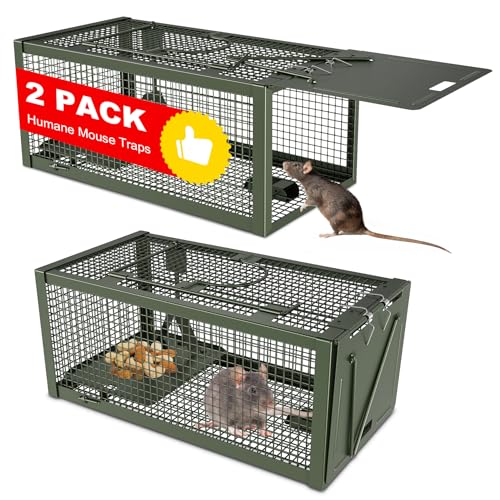 2 PCS Humane Mouse Mice Rat Traps Live Chipmunk Squirrel Animal Cage | Green Iron Galvanization, Reusable Safe for Children & Pet - color: Green