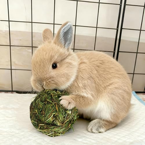 PINVNBY 2 Pcs Rabbit Timothy Hay Balls,Natural Bunny Chew Toys Grass Ball Small Animal Teeth Grinding Activity Woven Play Ball for Rabbit Guinea Pigs Hamsters Chinchillas - size: 【2 PCS】