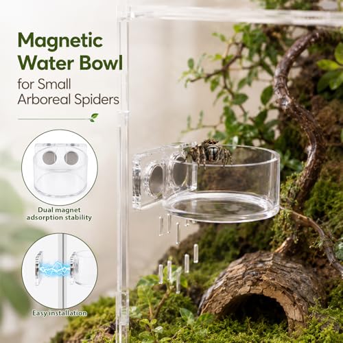 2 in 1 Jumping Spider Enclosure Accessories - Magnetic Feeding Dish with Jumping Wood Ledges | Acrylic Water Bowl Food Dish Habitat Decor for Tarantula Small Spider Reptile