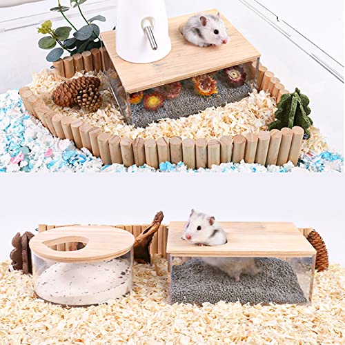 kathson Hamster Sand Bath Box Transparent Acrylic Small Animals Shower Bathtub Guinea Pigs Digging Sand Container Cage Accessories for Lemmings Gerbil Mice Hedgehog Chinchilla (Rectangle) - size: Large - Rectangle