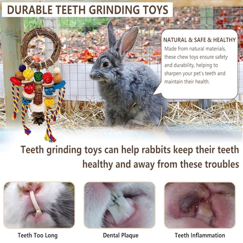 Bunny Chew Treats Toy for Teeth, 2PCS Rabbit Cage Hanging Chew Toys and Rattan Ring with Snack,Natural Material Chinchilla Treats Toys for Guinea Pig Gerbils Hamster Rat Teeth Grinding - color: 2PCS Classic