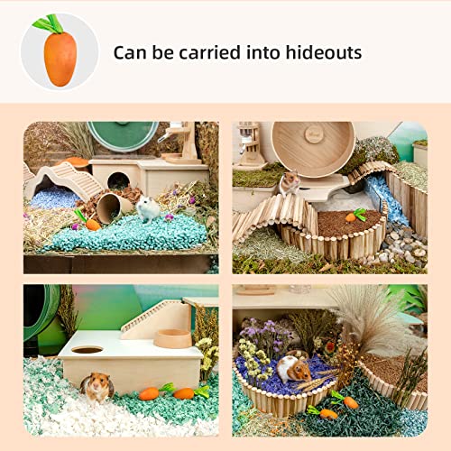 Niteangel Hamster Chew & Decor Toys: Pack of 6 Carrot-Shape & Beech Wood | Chew-Friendly Design to Control Tooth Overgrowth for Syrian Dwarf Hamster Gerbils Mice Lemming Degu or Other Small-Sized Pets - size: Carrot-Shape