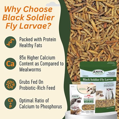 Sugar Glider Treat Bundle - Natural Healthy Assortment - Nectar Pods, Fish Sticks, EZ Worms, Agave Sticks - Suagr Gliders, Rats, Chinchillas, Ferrets, Hamsters, Hedgehogs & Other Small Animals