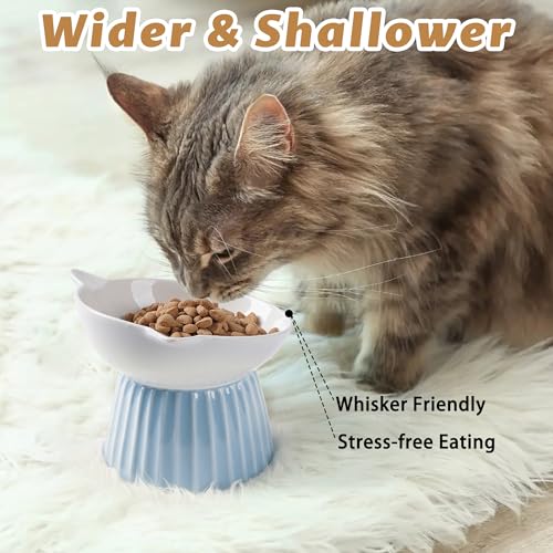 Ceramic Raised Cat Bowl，Tilted Raised Cat Bowl Anti Vomit Cat Bowls for Indoor Cats Whisker Friendly Pet Feeder for Cats Puppies, Microwave and Dishwasher Safe, Blue - color: Blue