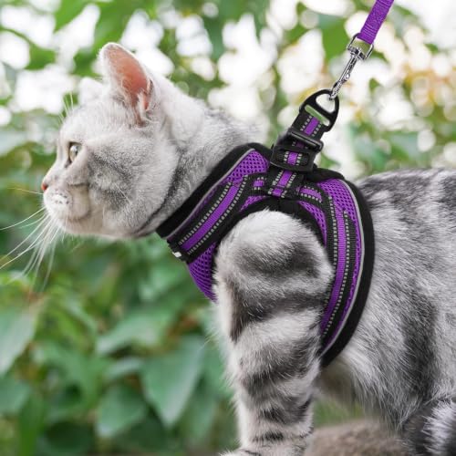 rabbitgoo Cat Harness and Leash Set, Step-in Soft Vest, Purple | Escape Proof, Lightweight, Easy-on & Adjustable, Hook & Loop with Buckle, Reflective, for Kittens & Small Cats Walks, S - color: Purple, size: S