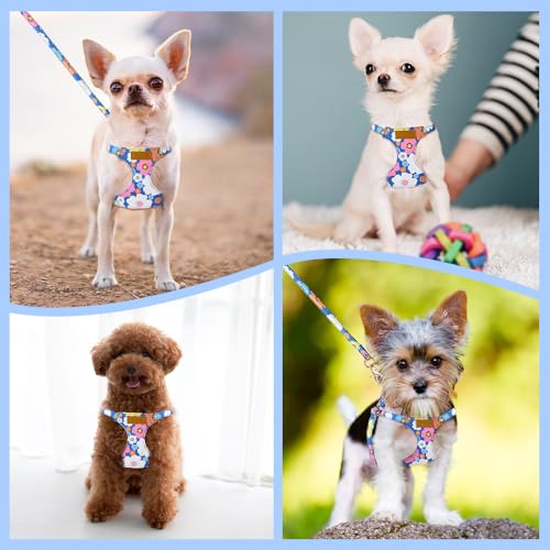Lukovee Puppy Harness and Leash Set, No Pull, Lightweight Step in Vest | Adjustable, Soft Suede Vest, Easy Put on and off Pet Harness with Snap Buckle & 51in Leash for Small Medium Dogs (Blue, S) - color: ·Blue Flower, size: Small ( 9-17.5lb )