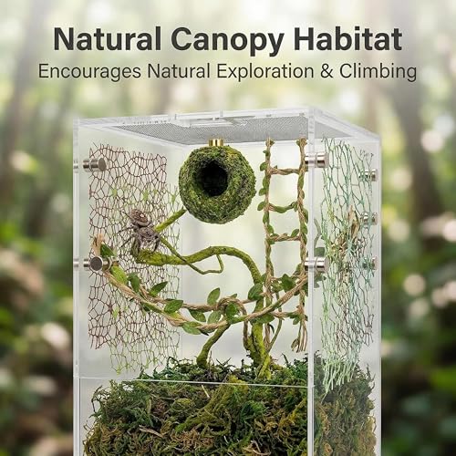 Jumping Spider Enclosure Accessories Kit, Magnetic Moss Ball Hideout, 2 Mesh Nets & Leafy Rope Ladder, 3D Forest Canopy Habitat with 5 Magnets for Jumping Spiders Fun Enclosure Accessories