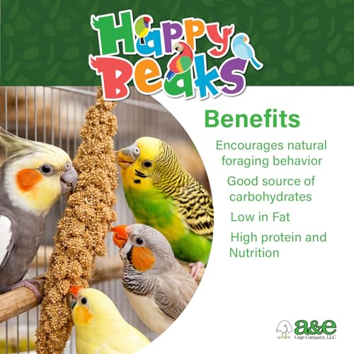 A&E Cage Co Premium French Millet Spray Bird Treat, 6 Piece 3 oz Pack | Grown in France, Natural Spray Millet, Encourages Foraging, For Parakeets, Cockatiels, Finches & Canaries - size: 3 Ounce