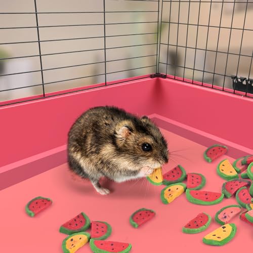 KATUMO Bunny Chew Toys, Rabbit Snacks Timothy Hay Treats for Guinea Pig | 200g / 7oz Rabbit Chew Toys for Teeth, Natural Timothy Hay Beet Pumpkin Carrot for Hamster, Chinchilla, Small Animals - size: 2.5"L x 2.5"W x 4.7"Th