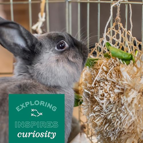 Oxbow Apple Stick Rabbit Hay Feeder, Guinea Pig Hay Holder, Chewable | Bunny Hay Feeder, Guinea Pig Hay Feeder, Rabbit Enrichment, Chewable Cage Accessory, Supports Foraging And Enrichment