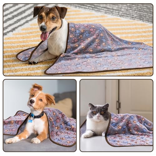 Dono 1 Pack 3 Dog Blankets, Soft Fluffy Fleece Pet Blanket Warm Sleep Mat Paw Print Design Puppy Kitten Throw Blankets Doggy Blanket for Dogs - color: Darkpaw, size: Small(23*16")