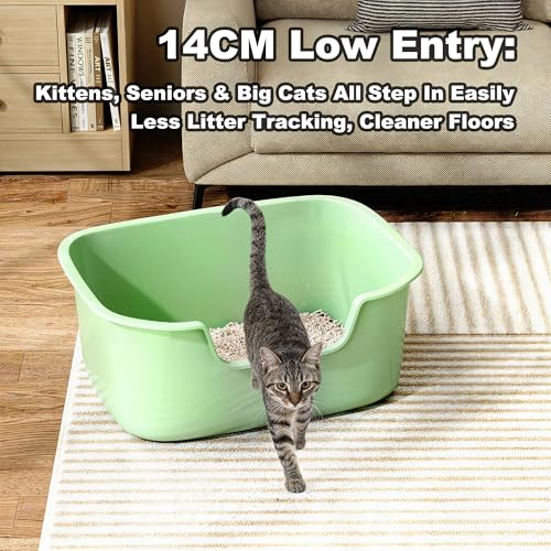 Large Open Cat Litter Box with High Sides, Anti-Splashing for Indoor Cats, Low Entry for Kittens & Elderly Cats, Spacious Litter Pan, Tool-Free Assembly(21.7” * 16.5” * 8.5” Green) - color: Green