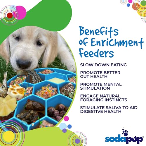 SodaPup Honeycomb Enrichment Bowl – Durable Enrichment Feeder Made in USA from Non-Toxic, Pet-Safe, Food Safe Material for Mental Stimulation, Slowing Down Eating, Healthy Digestion, & More - color: Blue Honeycomb eBowl