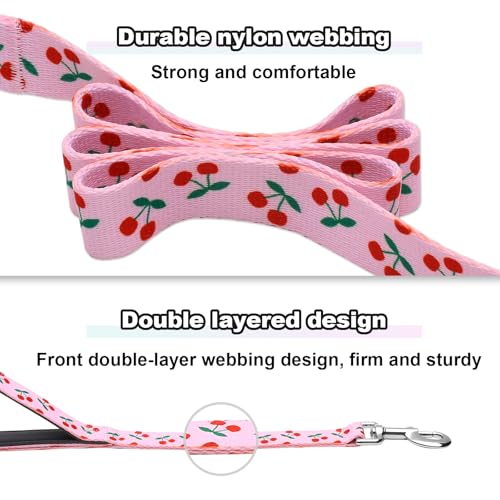 6ft Dog Leash with Two Padded Handles, Heavy Duty Strong Nylon Pet Leash with Soft Neoprene Handle for Small Medium Large Dogs, Cherry - color: Cherry, size: 1 in x 6 ft