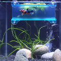 Brand Betta Tunnel (Translucent Aqua) - color: Translucent Aqua