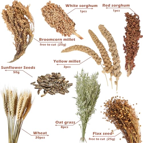 Natural Ear of Grain Flower&Herb Bedding Mate Habitat Decor, Adding Fun Hamster Accessories for Hamsters Gerbils Lemming - color: Harvest Wind