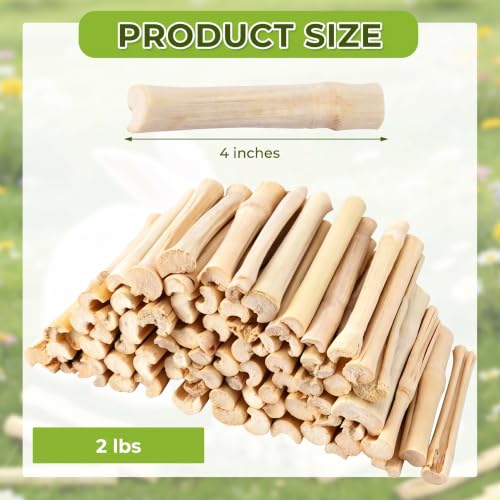 2lb Sweet Bamboo Chew Sticks for Rabbits & Guinea Pigs - Natural Molar Teething Treats, 60-75 Sticks, Dental Grinding Toys for Hamsters, Chinchillas, Rats & Small Animals - size: 2 Pound (Pack of 1)
