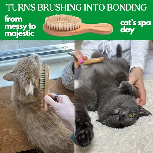 GranNaturals Boar Bristle Soft Cat Brush for Indoor, Outdoor, Short Haired Cats, Kittens, Small Dog, Rabbit, Furry Pets - Gentle Grooming on Sensitive Hair Coat & Tail with Durable Wooden Handle