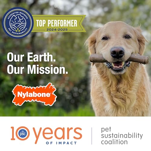 Nylabone Power Chew Textured Bone Dog Toy, Peanut Butter Flavor, X-Large | Durable dog toys, long lasting, discourages destructive chewing, teeth-cleaning texture, flavor throughout, for dogs 50+ lbs - size: X-Large