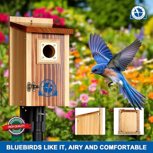 SISTERBIRD Pack of 2 Premium Bluebird Houses for Outside, Assembled Bird House Gift, Garden Decoration Bluebird House, Copper Predator Guard, Easy to Clean Bird Nesting - color: Light Toast & Copper-colored -- 2PK